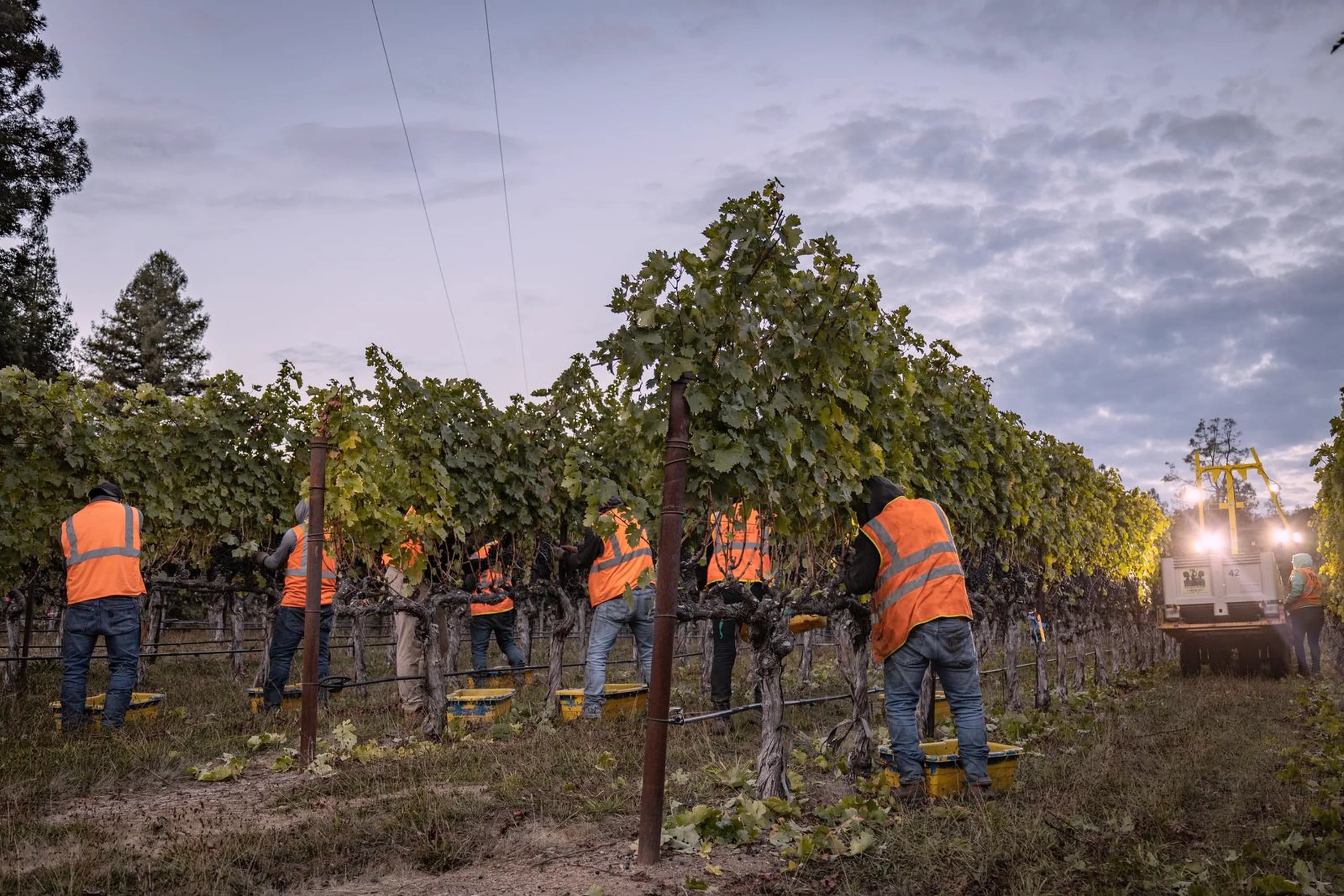 Pearls truck and field equipment at a vineyard