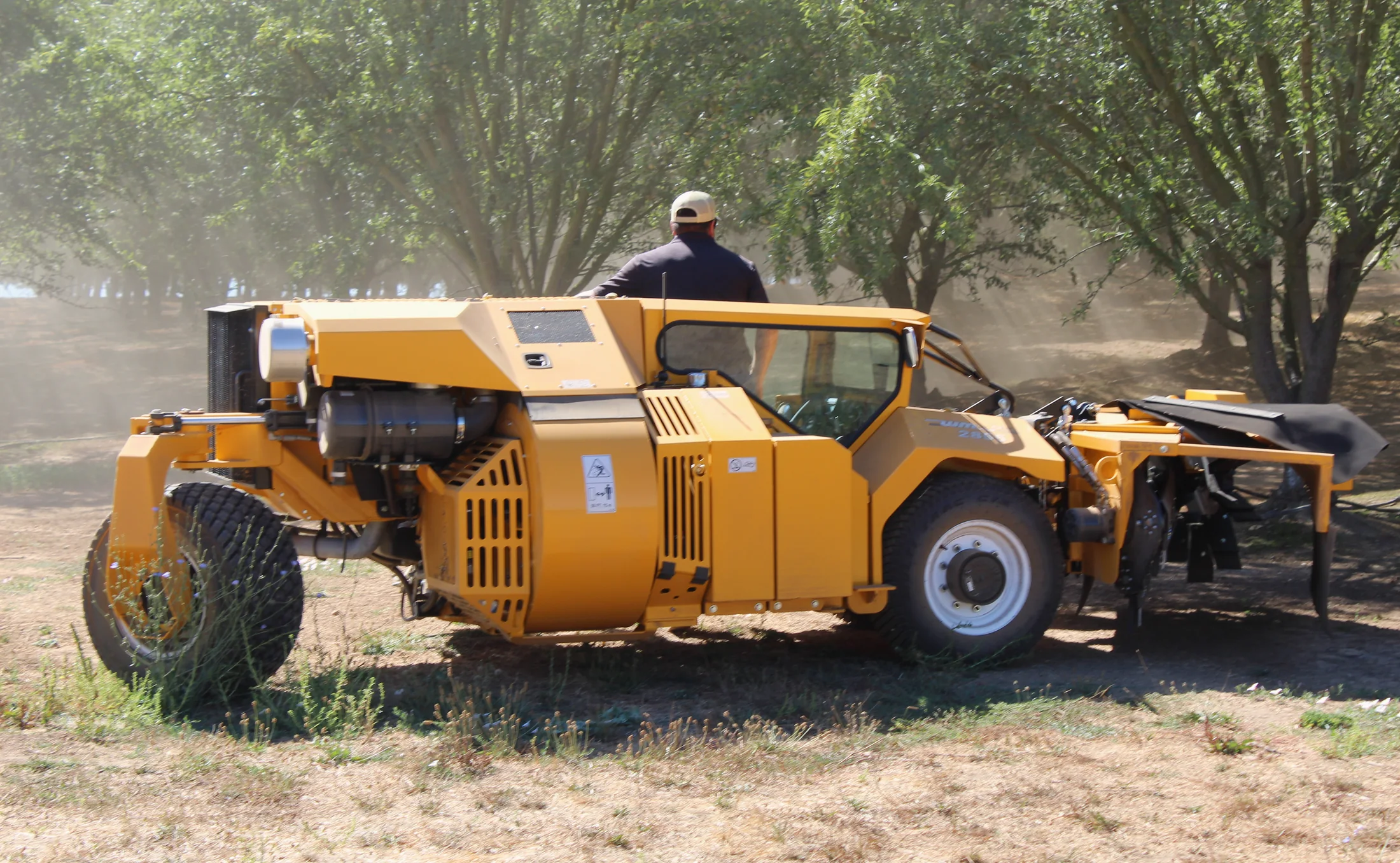 Harvest machine beside orchard rows.