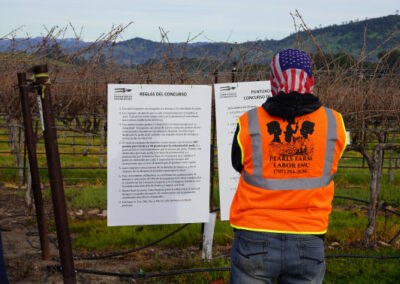 Pearls Farm Labor - Vineyard planting, pruing, harvest and delivery, weed and pest control, land preparation and cultivation, and general vineyard maintenance